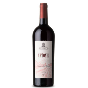 Antonio - Asolo Montello DOC Giusti Wine